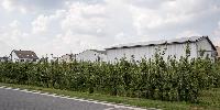 Bild 12078