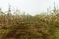 Bild 12102