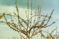 Bild 12103