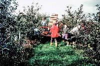 Bild 12113