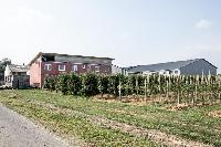 Bild 12121