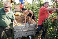 Bild 12193