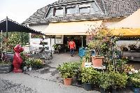 Bild 12208