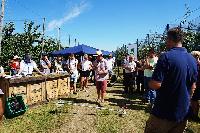 Bild 12224