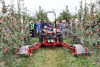 Bild 12225