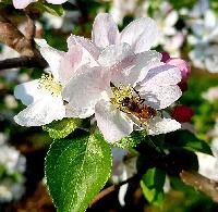 Bild 12304