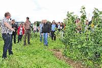 Bild 12307