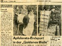 Bild 12312