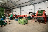 Bild 12401