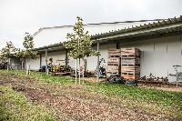 Bild 12448