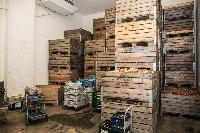 Bild 12568