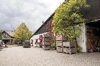 Bild 12574
