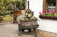 Bild 12577