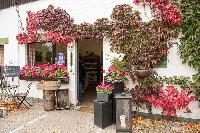 Bild 12578