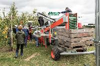 Bild 12645