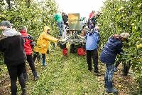 Bild 12649