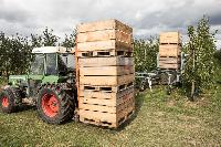 Bild 12653