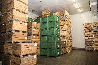 Bild 12681