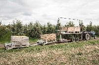 Bild 12688
