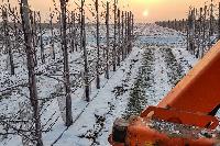 Bild 12753