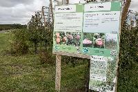 Bild 12760