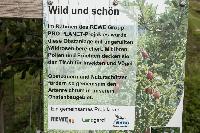 Bild 12761