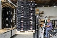 Bild 12777