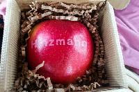 Bild 12778
