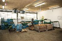 Bild 12784