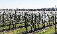 Bild 12810