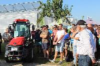 Bild 12911