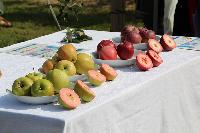 Bild 12912