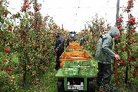 Bild 12941