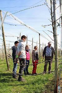Bild 12948