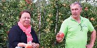 Bild 12956
