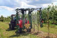 Bild 12994