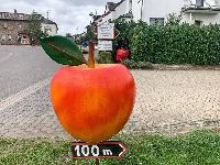 Bild 13015