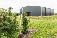 Bild 13088