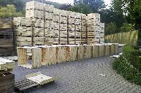 Bild 13177