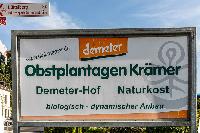 Bild 13438