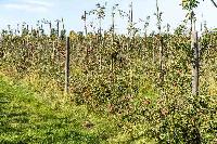 Bild 13453