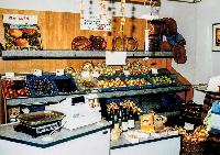 Bild 13479