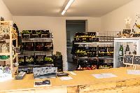 Bild 13540