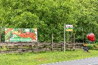 Bild 13585