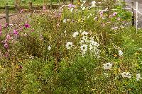 Bild 13610