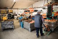 Bild 13674