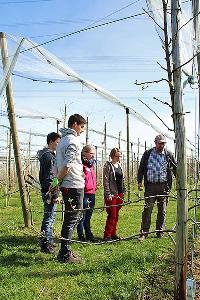 Bild 13792