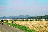 Bild 13808