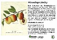 Bild 13831