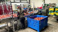 Bild 13843